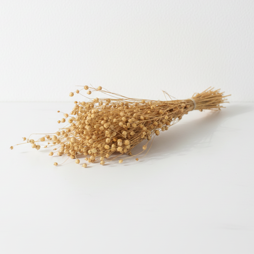 Sušený len bílý – jemná přírodní dekorace